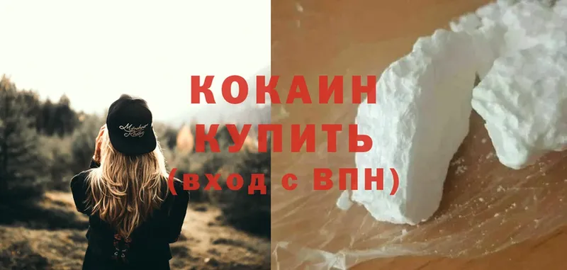 купить закладку  Уржум  Cocaine FishScale 